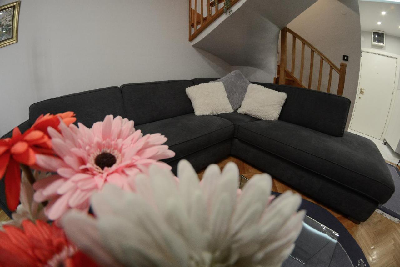 Apartment Dobraya Blue Novi Sad Eksteriør bilde